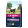 Eukanuba Puppy Large Chicken