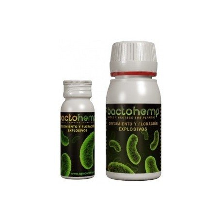 Bactohemp Crecimiento Agrobacterias